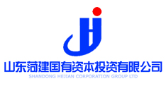 山东河建国有资本投资有限公司